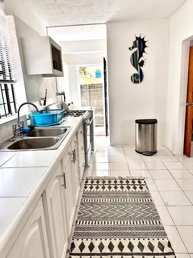 Ultimate Xscape Apartment Christ Church